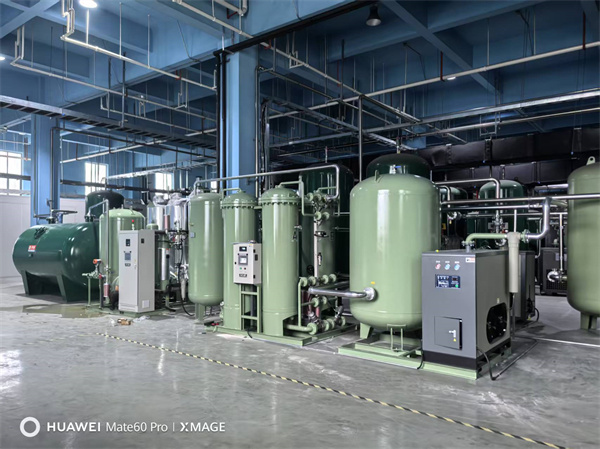 Nitrogen Generator for Pharmaceutical Project